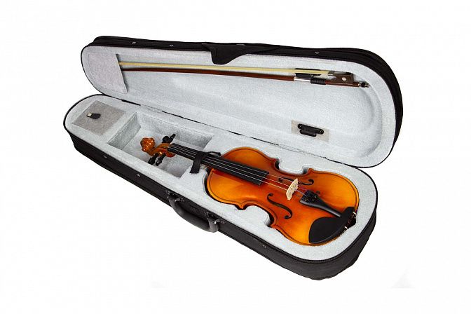 Фото Скрипка Livingstone L-V100 3/4