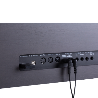 Фото Orla 438PIA0714 CDP 202 Цифровое пианино