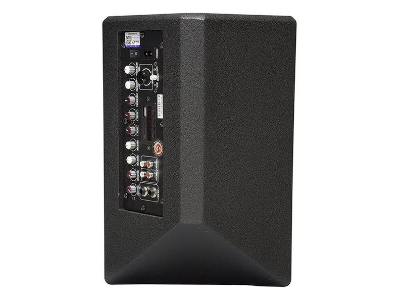 Фото Активная акустическая система Biema X-1