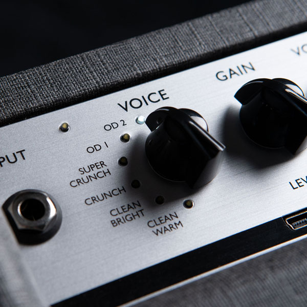 Фото Моделирующий комбоусилитель Blackstar Silverline Stereo Deluxe