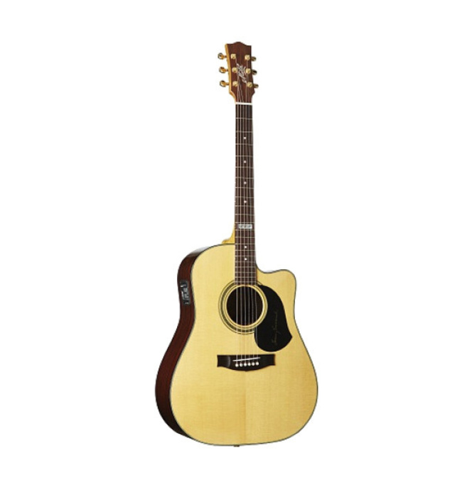 Фото Maton TE1