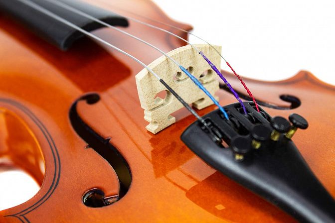 Фото Скрипка Livingstone L-VP01 4/4