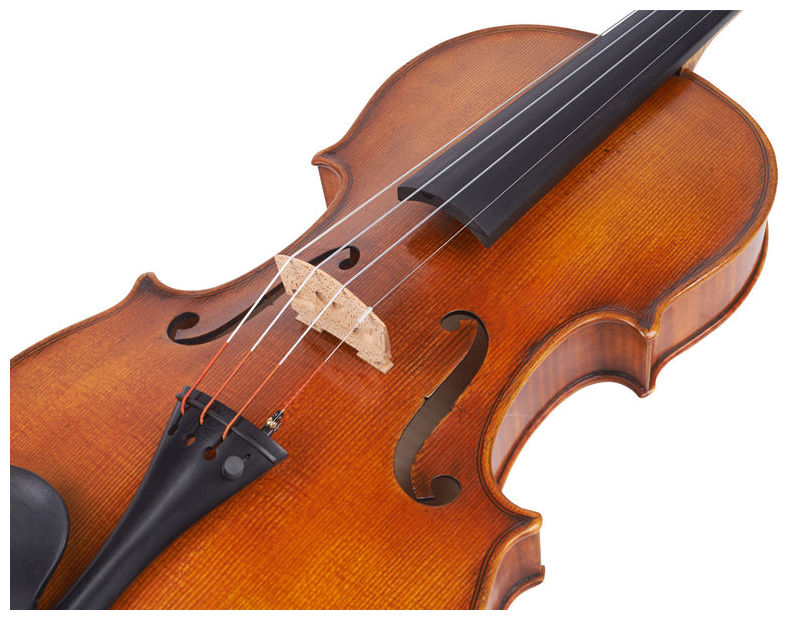 Фото Karl Hofner  H215-AS-V 4/4