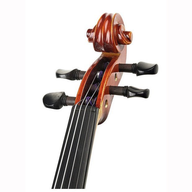 Фото Karl Hofner AS-190-V 4/4-0 