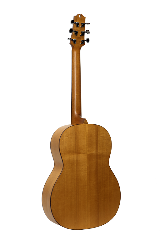 Фото NewTone Rainbow GA-S N