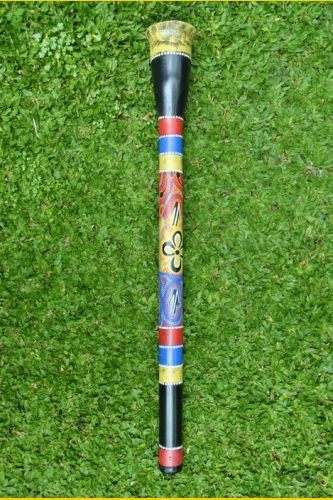 Фото Диджерибон из пластика