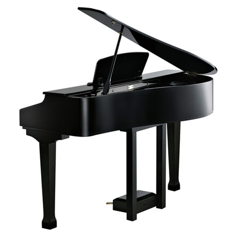 Фото Kurzweil KAG100 BP