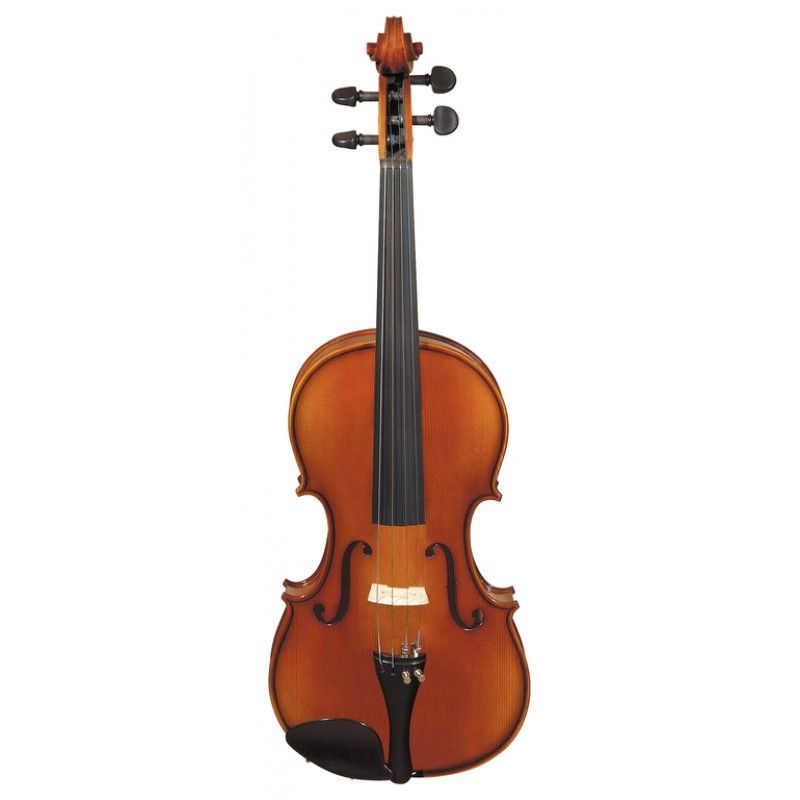 Фото Скрипка студенческая Hora V100-4/4 Student