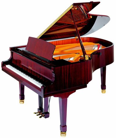 Фото Petrof PE III(2251) рояль цвет орех полированный
