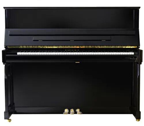 Фото C. Bechstein Imposant A 124  