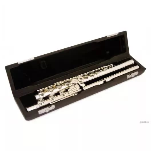 Фото MIYAZAWA Кейс для флейты B-foot