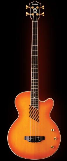 Фото Washburn AB45(VS, HB, B)