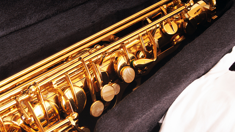 Саксофон АЛЬТ Eb Conductor FLT-SAL в магазине Music-Hummer