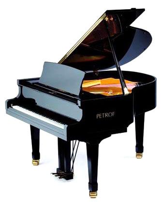 Фото Petrof PE 159 Bora DCH(2251)