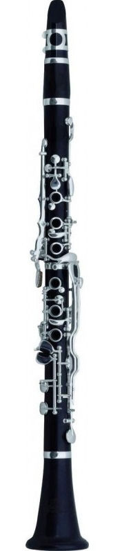 Фото ROY BENSON СG-523 Bb