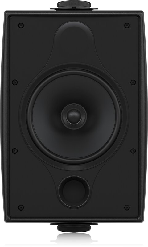 Фото Tannoy DVS 6  