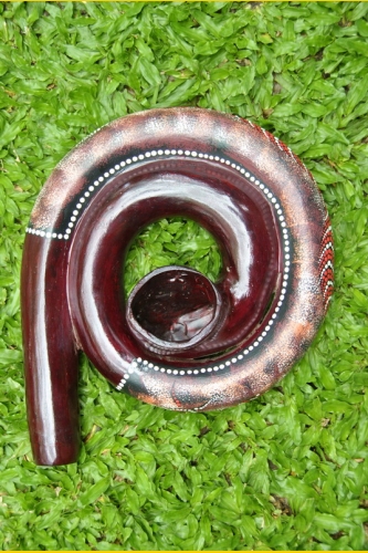 Фото Диджерибокс из фибергласса Улитка