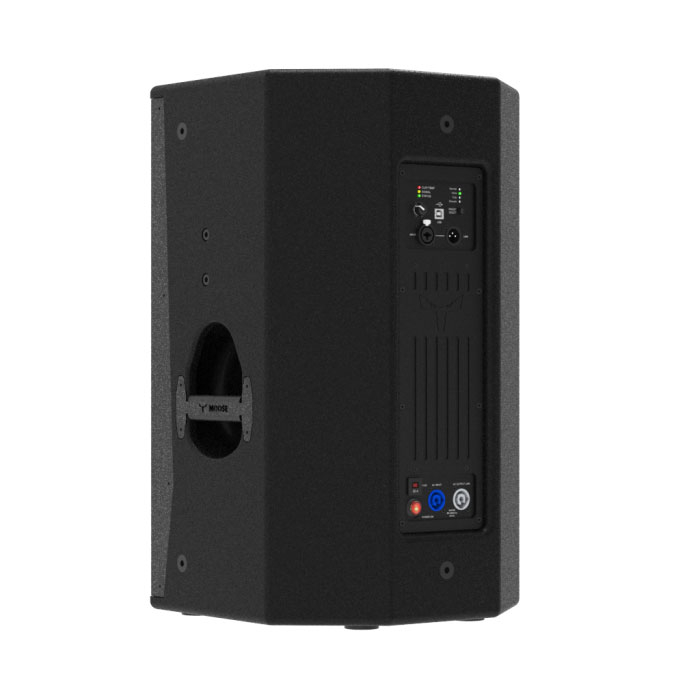 Фото Активная акустическая система MOOSE C12A