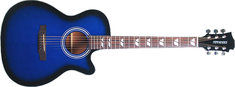 Фото FERNANDES PD16C N
