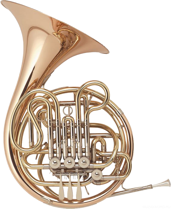 Фото HOLTON H181