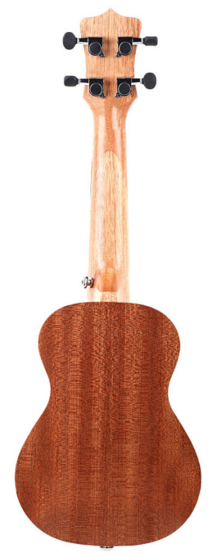 Фото Enya EUC-20