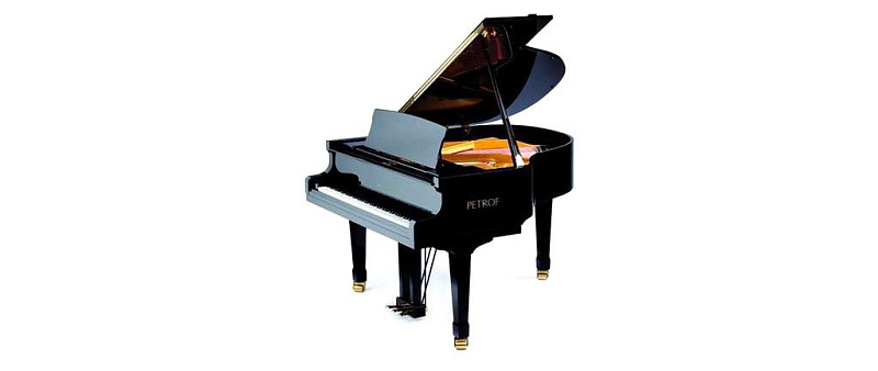 Фото Petrof PE 159 Bora DCH(3281)