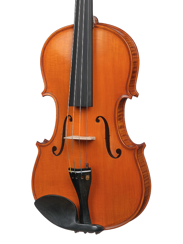 Фото Скрипка Gliga PS-V044 Professional Gama Super