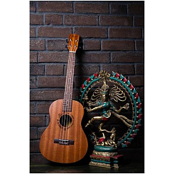 FLIGHT NUB310 - Укулеле баритон Флайт