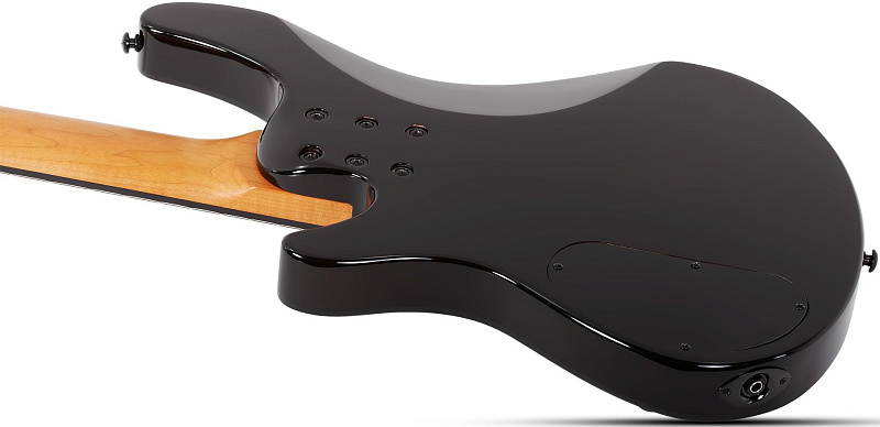Фото Бас гитара Schecter C-5 STANDARD TB