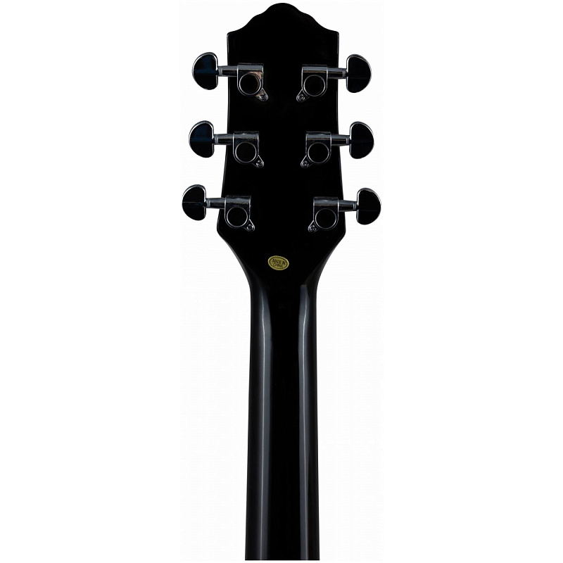 Фото Акустическая гитара FLIGHT AG-210 BK