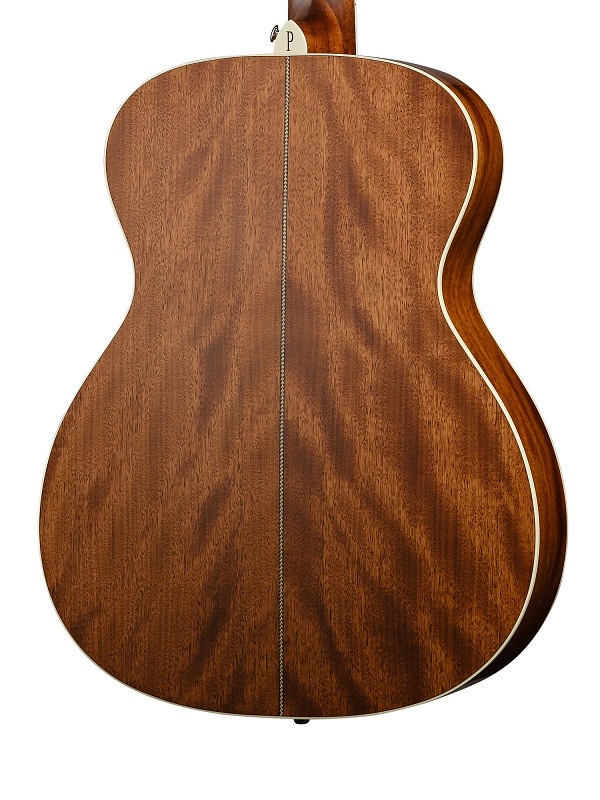 Фото Акустическая гитара Parkwood P620-WCASE-NAT