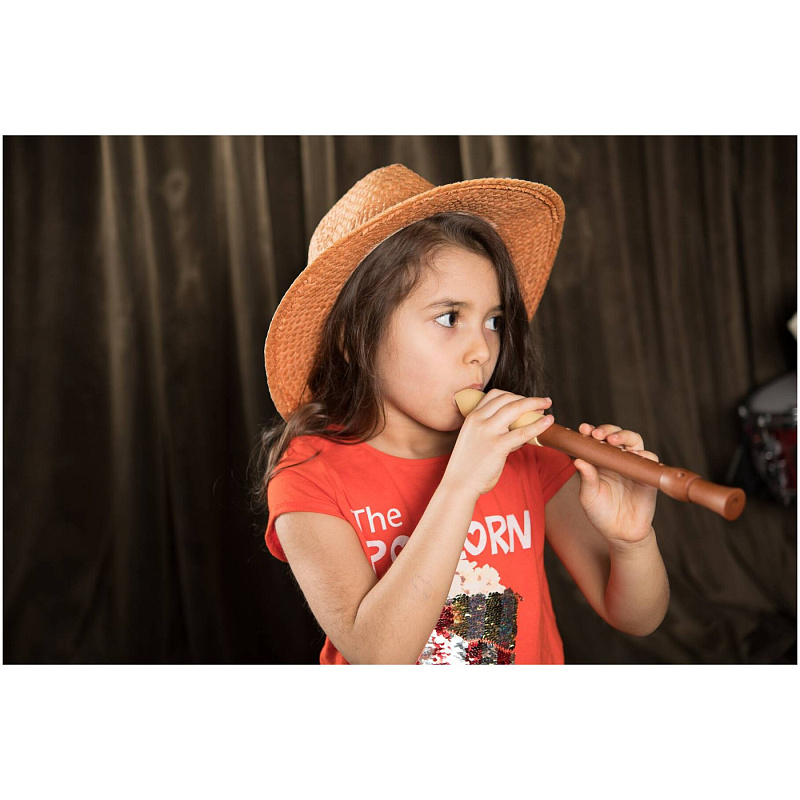 Фото HOHNER B95850 - Блокфлейта сопрано немецкая система Хонер