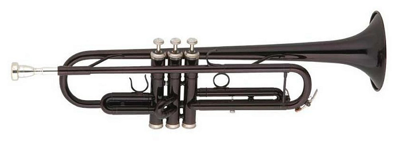 Фото Труба BOSTON TR-104/DBL