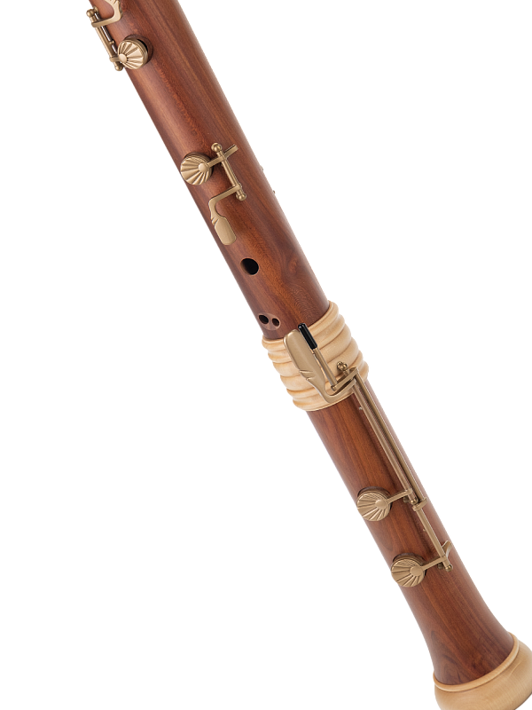 Фото Блокфлейта Mollenhauer TE-4528 Dream-Edition