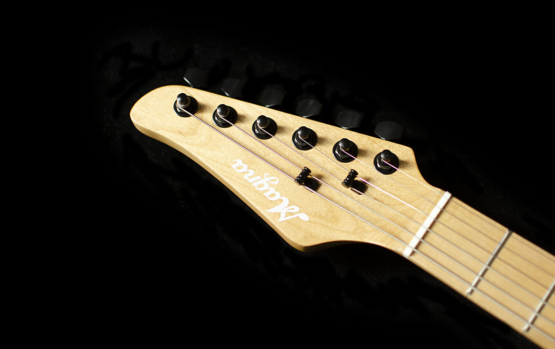 Фото Электрогитара Magna 2000E-SBK