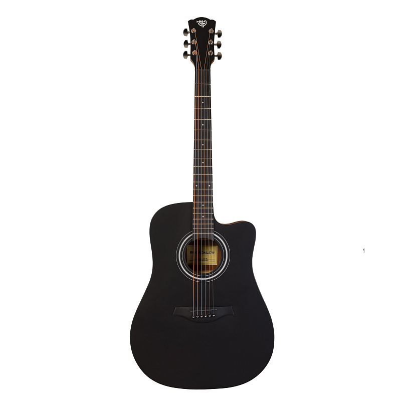 Фото Акустическая гитара ROCKDALE Aurora D3 Satin C BK