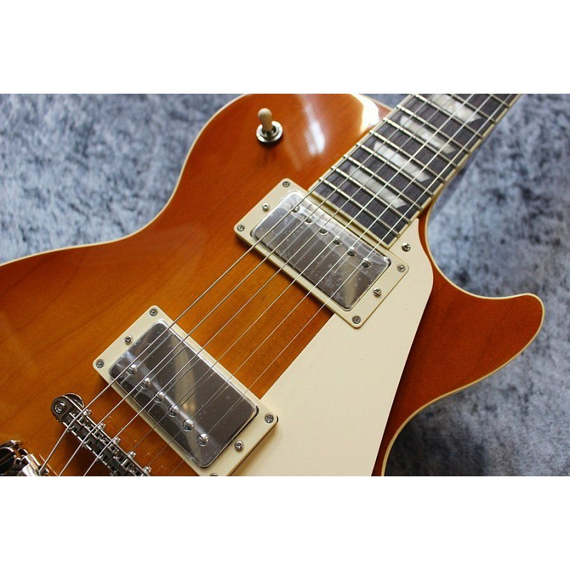 Фото Электрогитара с чехлом FGN NLS10GMP FCB