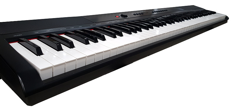 Фото Denn PRO PW01 BK