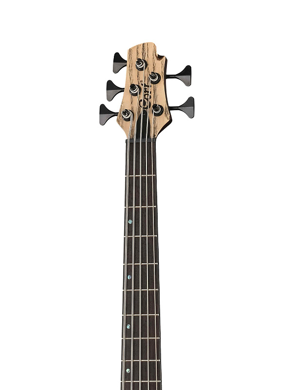 Фото Бас-гитара Cort A5-Ultra-Ash-WCASE-ENB Artisan Series