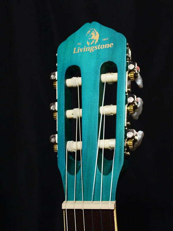 Фото Гитара классическая Livingstone Opera BL