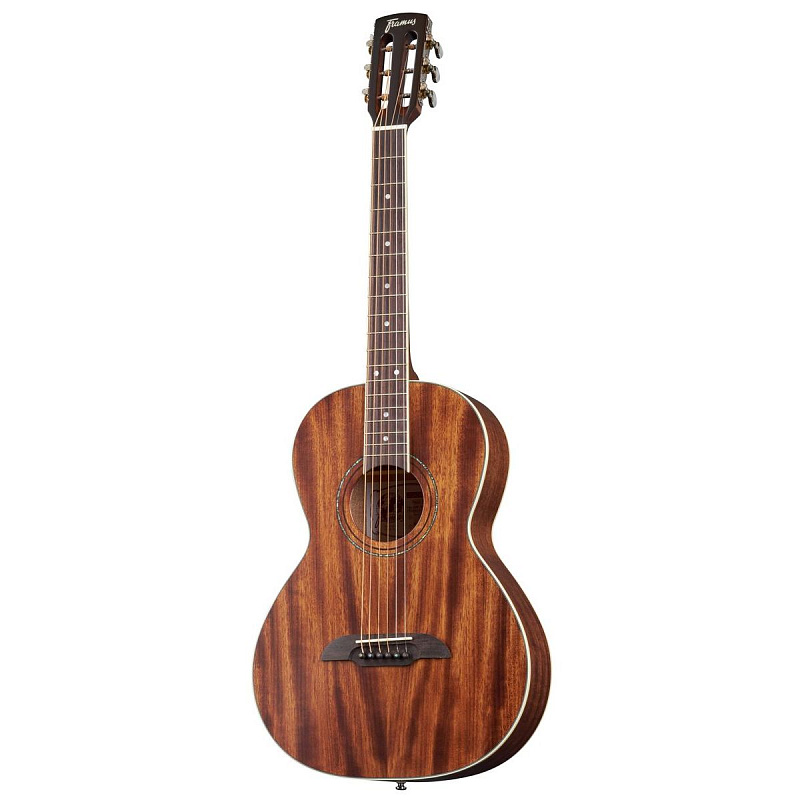 Фото Framus FP 14 M NS