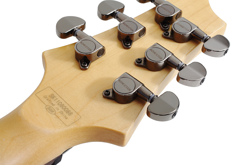 Фото Электрогитара Schecter SGR 006 MSBK