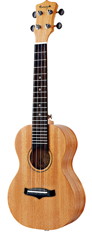 Фото Enya EUC-25D