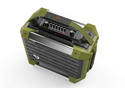 Портативная акустическая система DREAMWAVE Rockstar green
