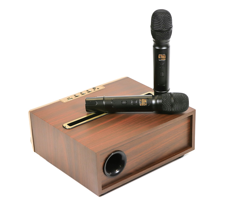 Фото Караоке с встроенной акустической системой MH Technologies Q13 PL