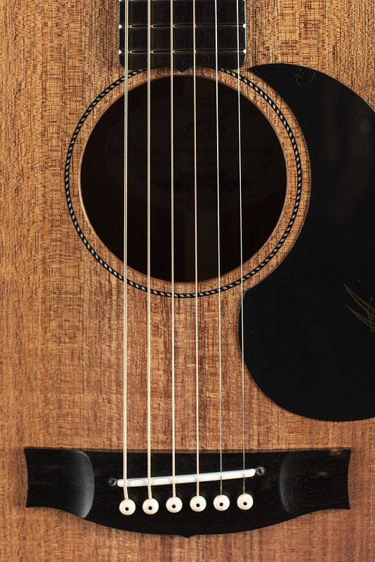Фото Гитара Maton EBW808C