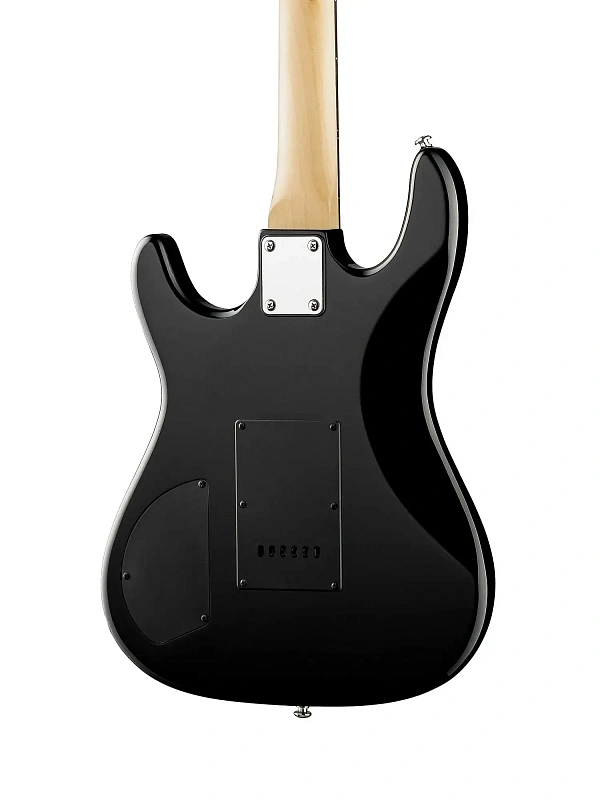 Фото Электрогитара Caraya E252TRDS