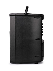 Активная акустическая система Leem PR-8