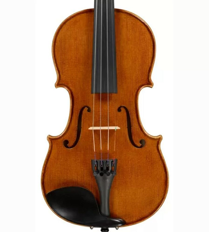 Фото Скрипка Tononi VN420 4/4