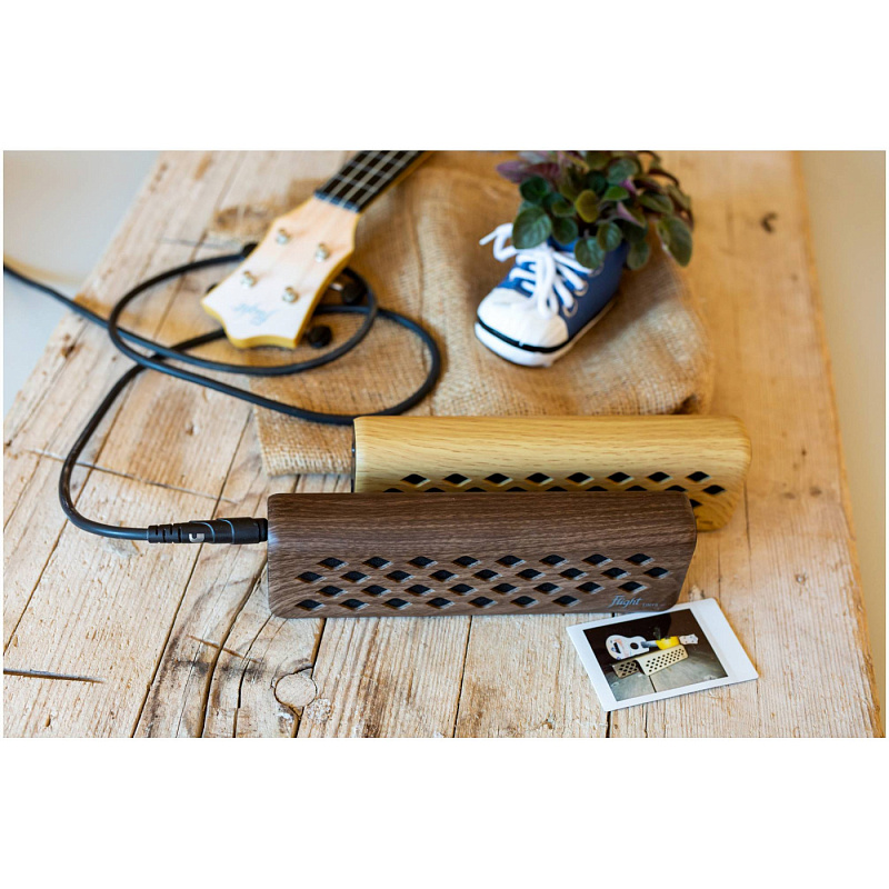 Фото FLIGHT Tiny 6 Maple - Комбоусилитель для укулеле Флайт